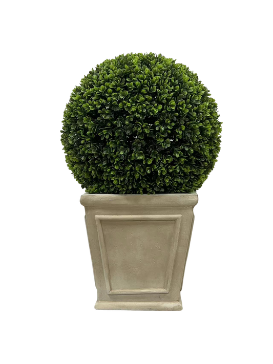 23’ Ball Topiary Plant