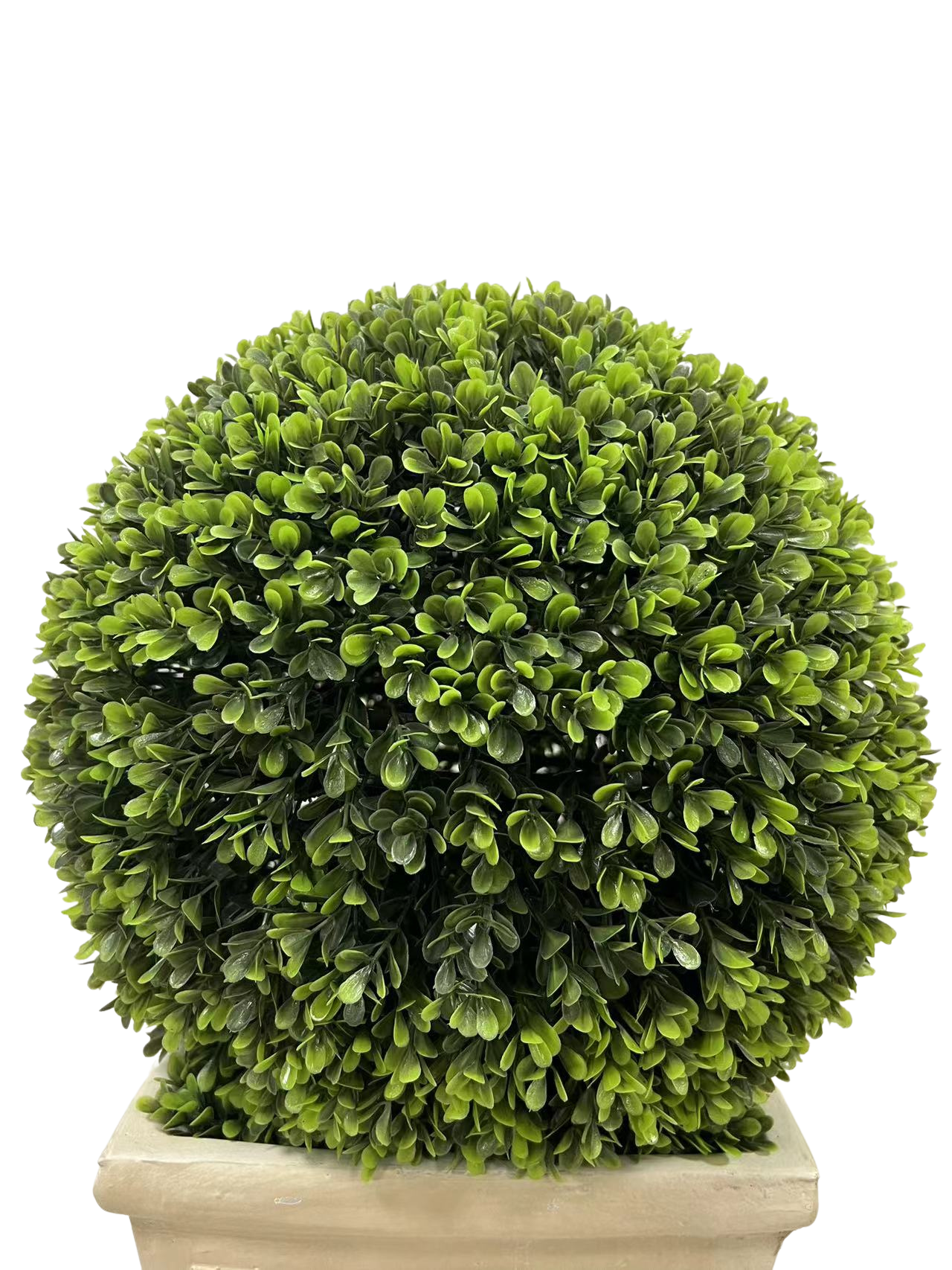 23’ Ball Topiary Plant